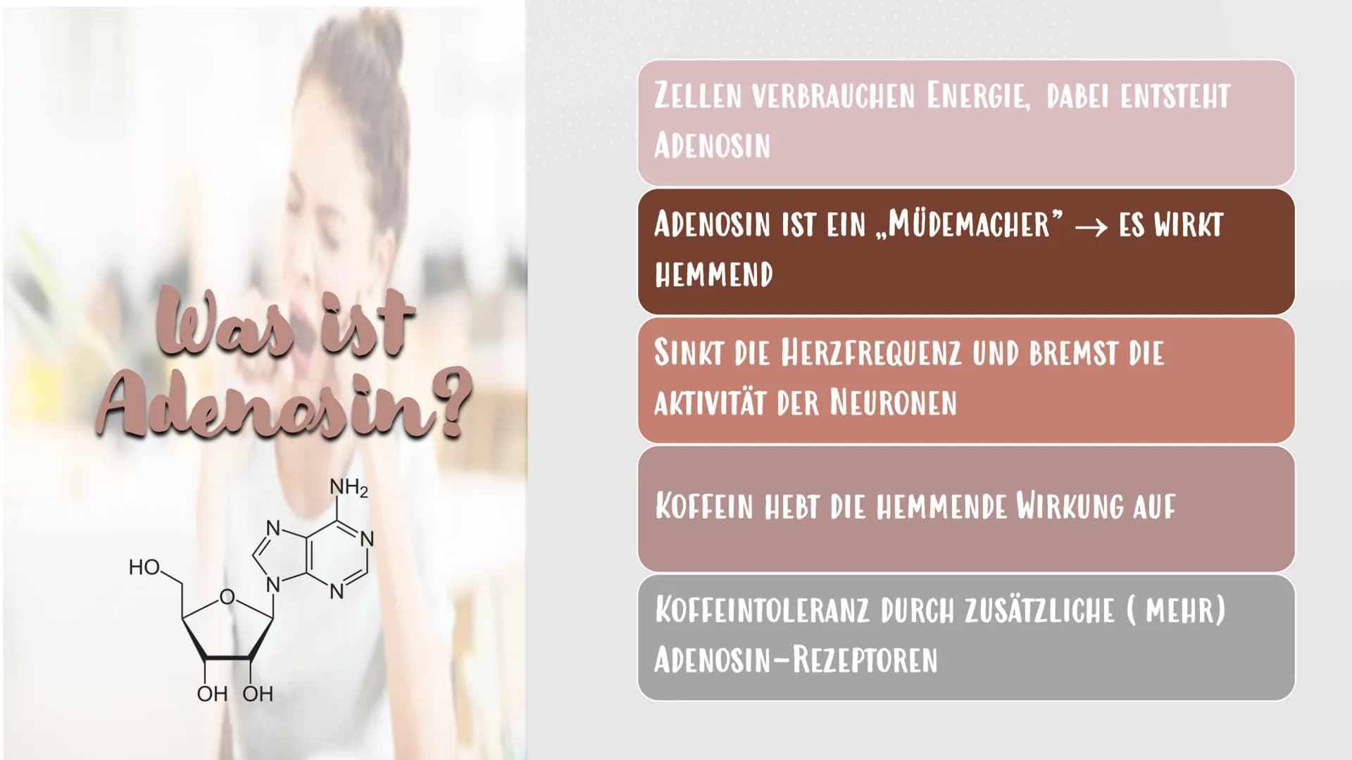 Koffein
H3C
CH
CH3 Gliederung
1. DEFINITION KOFFEIN
1.2 WELCHE MENGE AN KOFFEIN
IST GESUND?
2. WIRKUNG AN DER
MOTORISCHEN ENDPLATTE
2.1
WIRK