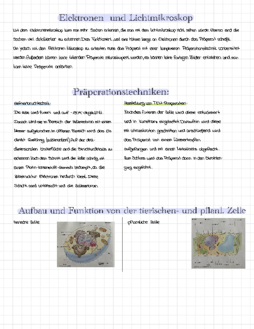 Bio Lernzettel zu Zellen und dem Mikroskopieren