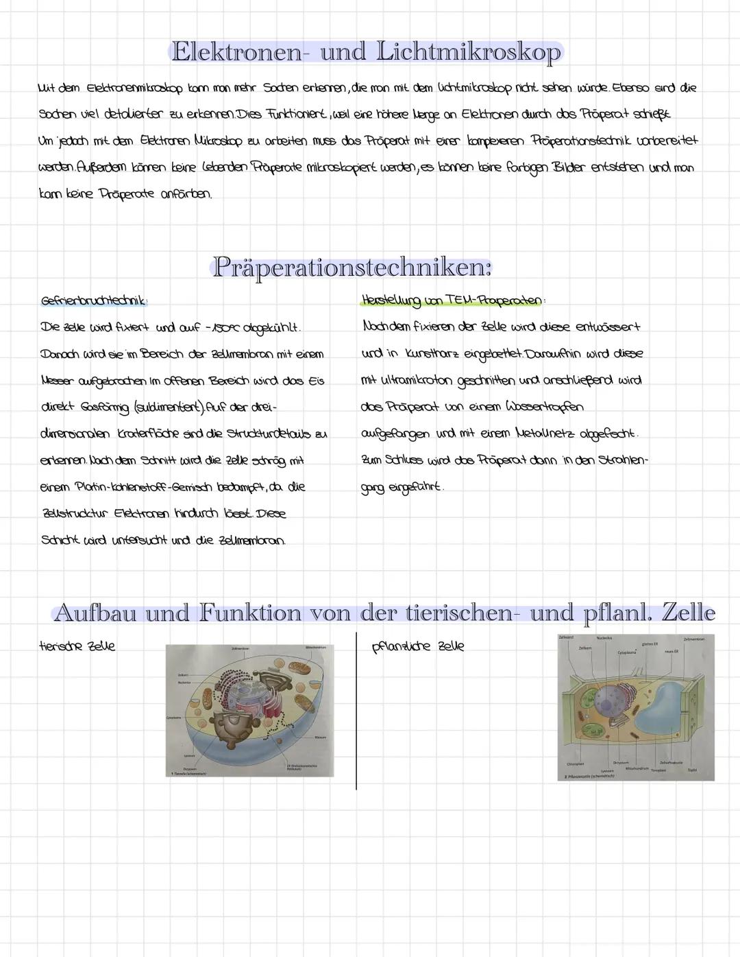 Elektronen- und Lichtmikroskop
Mit dem Elektronenmikroskop kann man mehr Sochen erkennen, die man mit dem lichtmikroskop nicht sehen würde. 