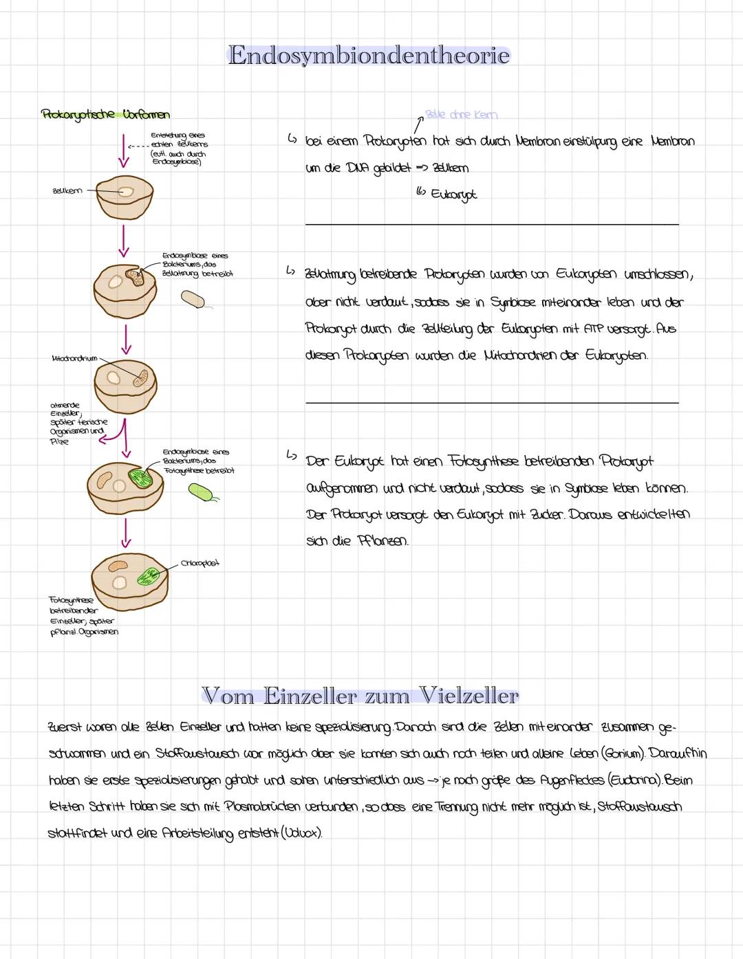 Elektronen- und Lichtmikroskop
Mit dem Elektronenmikroskop kann man mehr Sochen erkennen, die man mit dem lichtmikroskop nicht sehen würde. 