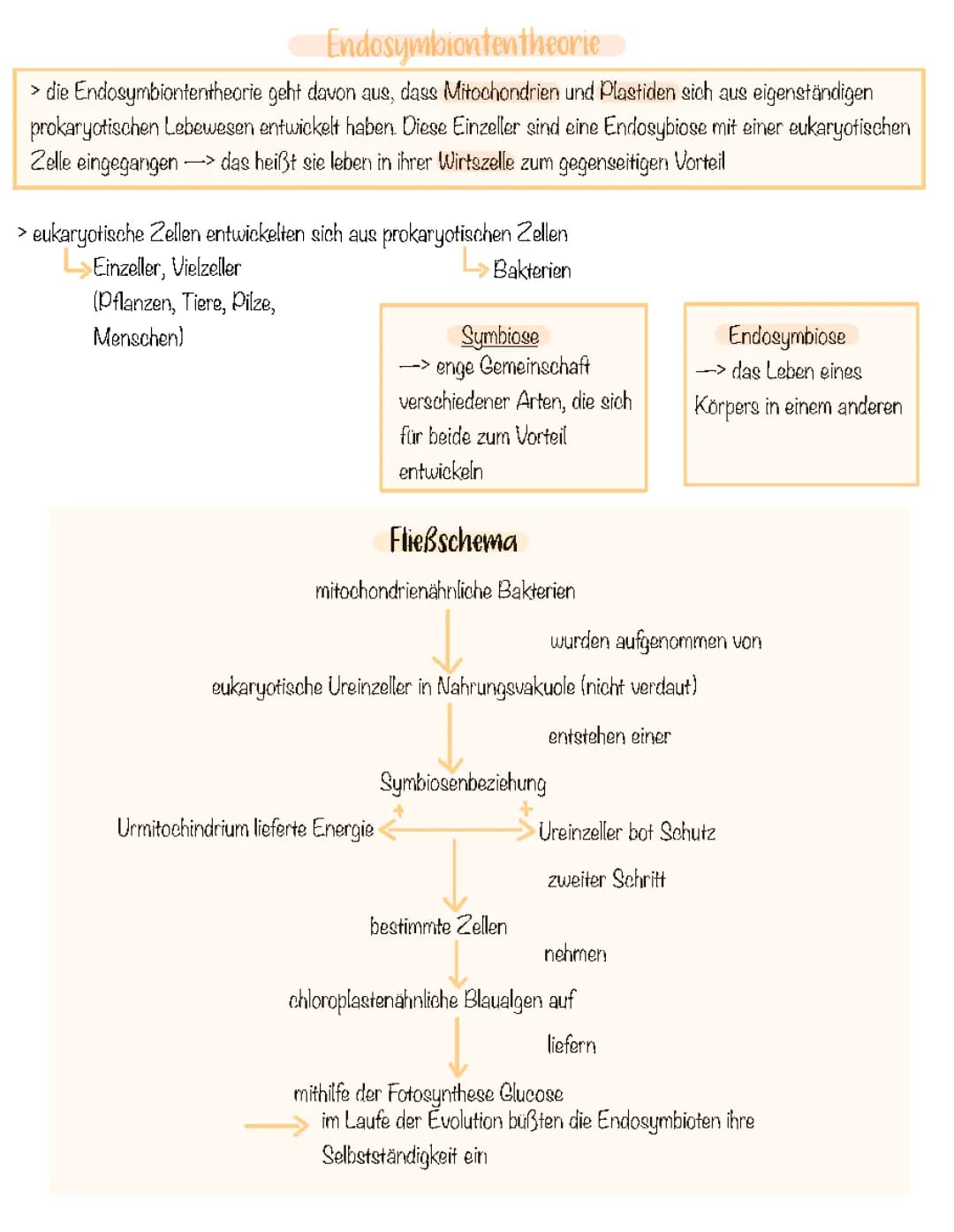 Endosymbiontentheorie 