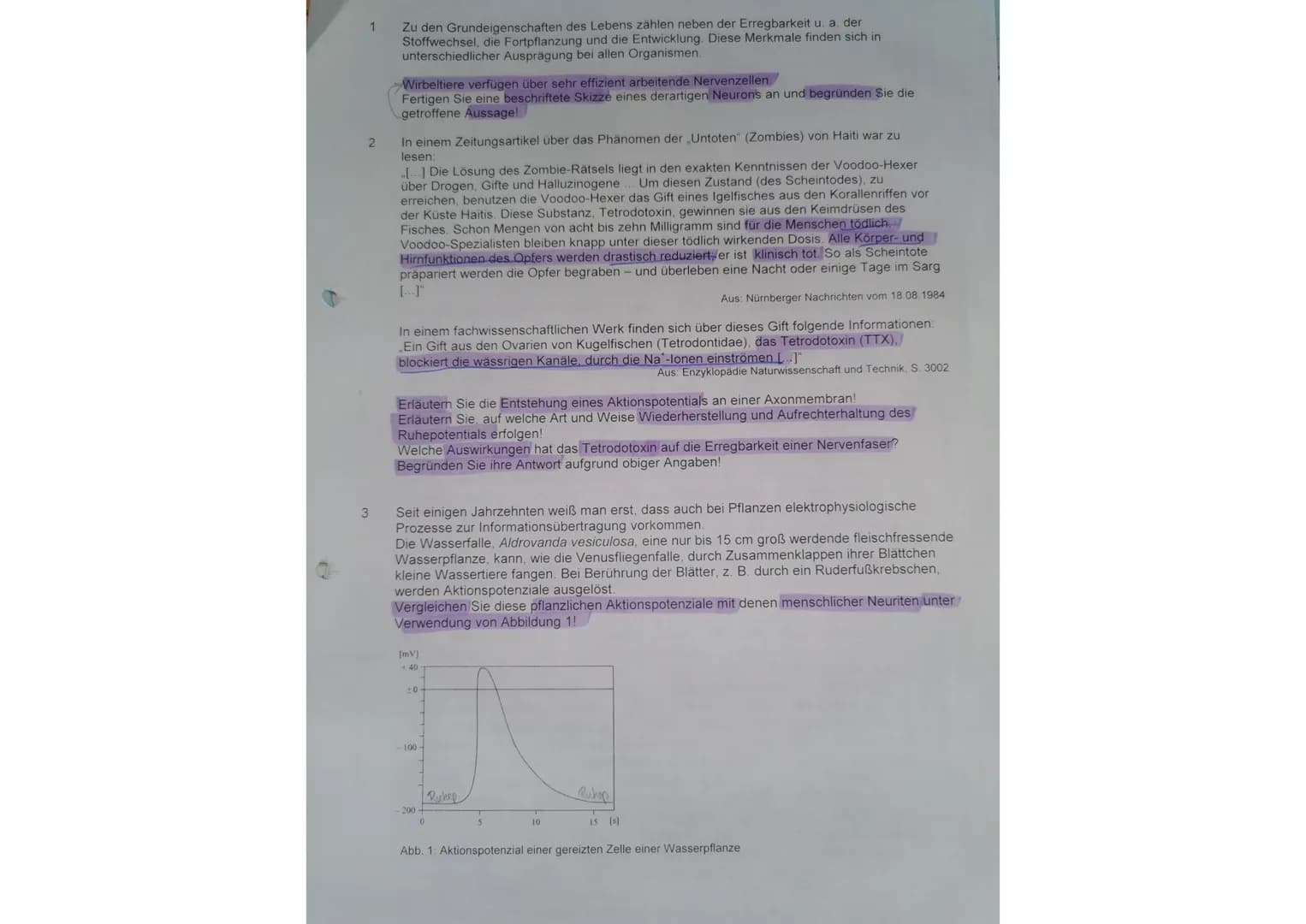 C
1
2
3
Zu den Grundeigenschaften des Lebens zählen neben der Erregbarkeit u. a. der
Stoffwechsel, die Fortpflanzung und die Entwicklung. Di