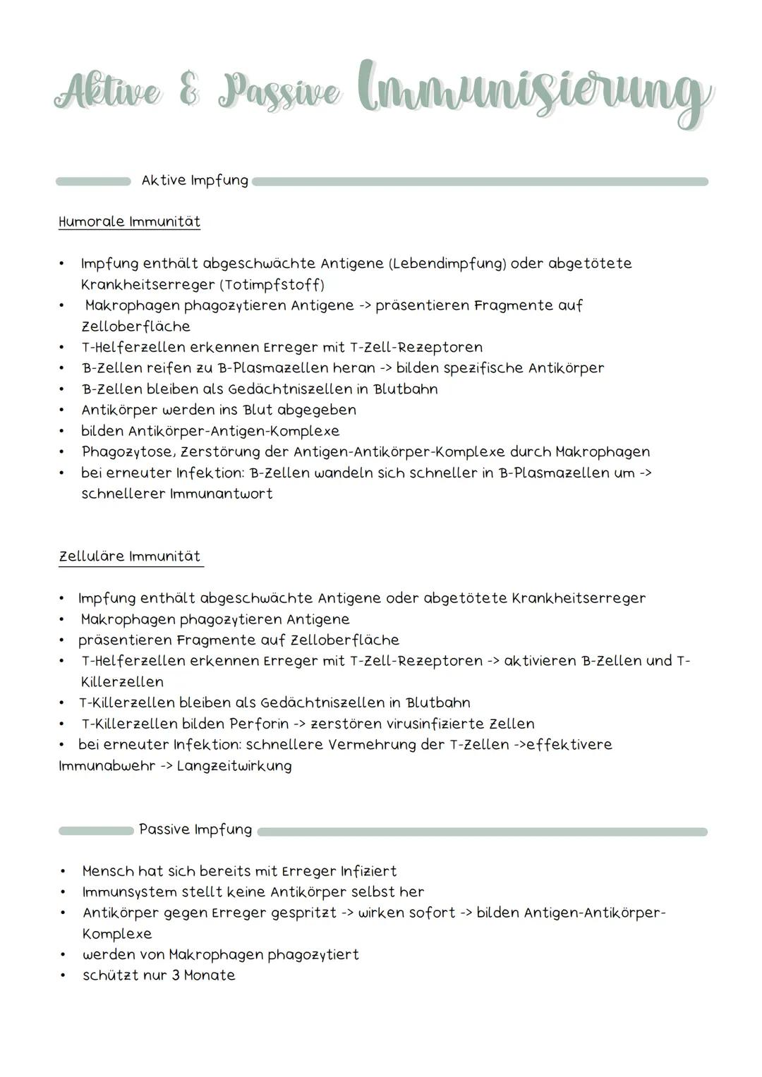 Aktive & Passive (mmunisierung
Humorale Immunität
●
●
●
●
.
Aktive Impfung
●
.
Impfung enthält abgeschwächte Antigene (Lebendimpfung) oder a