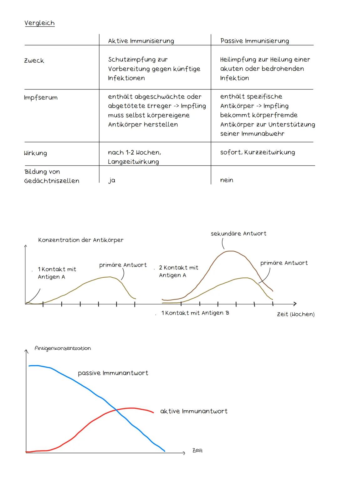 Aktive & Passive (mmunisierung
Humorale Immunität
●
●
●
●
.
Aktive Impfung
●
.
Impfung enthält abgeschwächte Antigene (Lebendimpfung) oder a