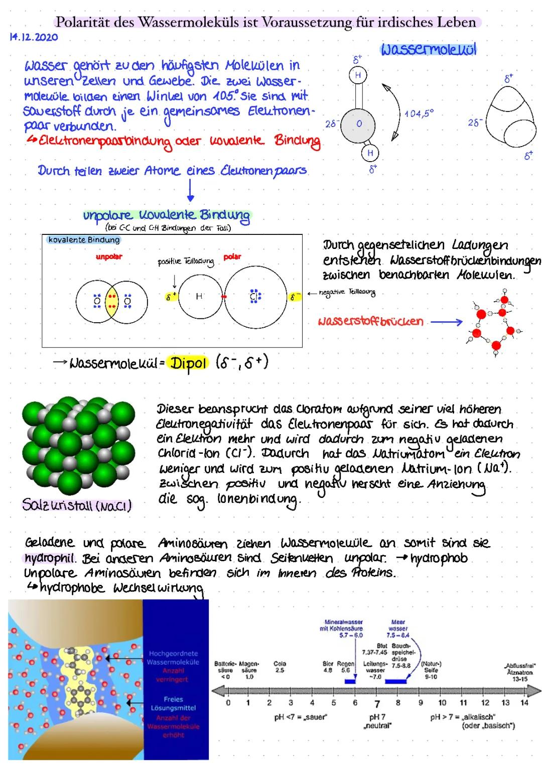 Polarität des Wassermoleküls 