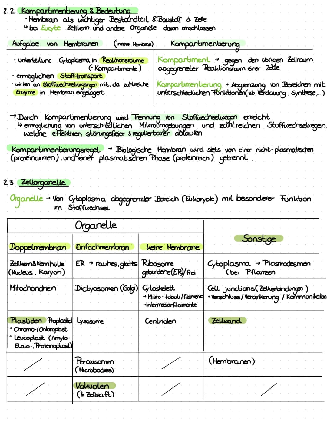 3. ATP
→
- Lebewesen sind aus Zellen aufgebaut
- Einzeller (wie Bakterien, Euglena Pantoffeltier,....) bestehen aus 1 Zelle, die alle Lebens