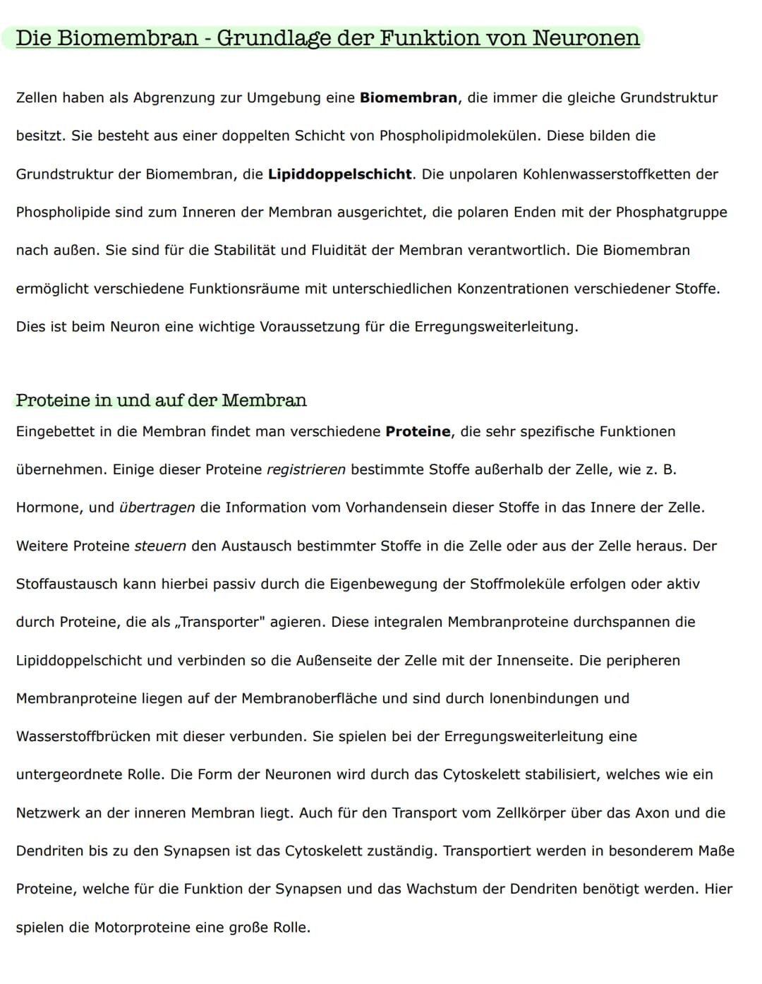 Biologieklausur
Nervenzellen - Bau und Funktionen
Reiz-Erregungs-Transformation
Sinneszellen sind selektiv und reagieren nur auf entsprechen