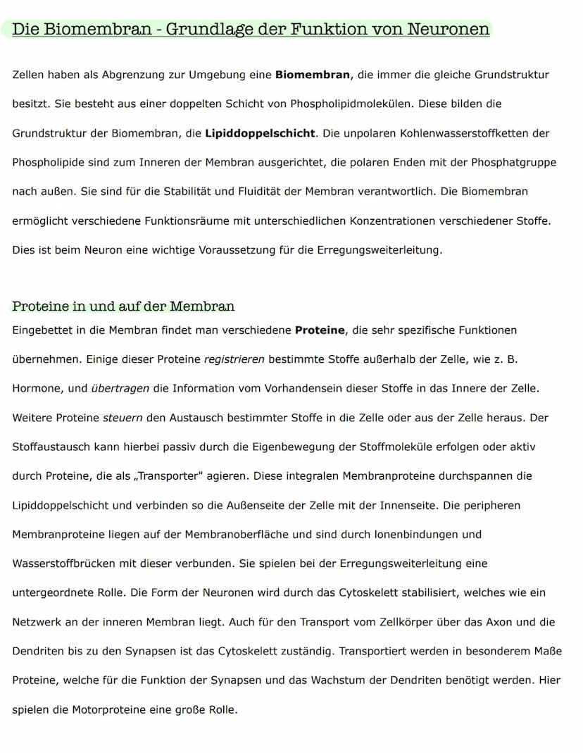 Biologieklausur
Nervenzellen - Bau und Funktionen
Reiz-Erregungs-Transformation
Sinneszellen sind selektiv und reagieren nur auf entsprechen