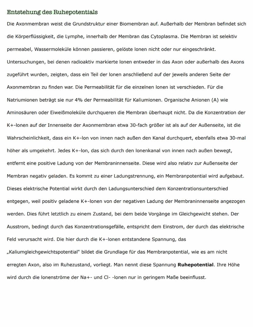 Biologieklausur
Nervenzellen - Bau und Funktionen
Reiz-Erregungs-Transformation
Sinneszellen sind selektiv und reagieren nur auf entsprechen