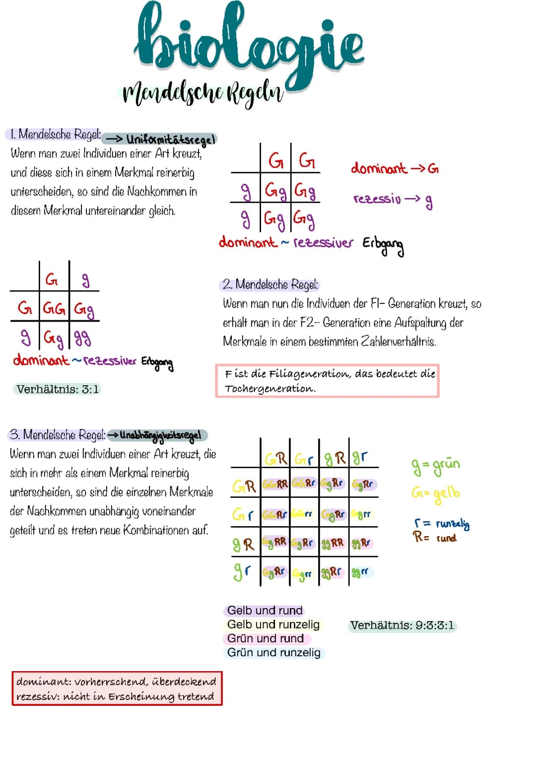 Mendelsche Regeln