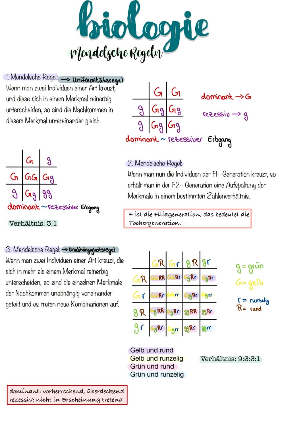 biologie
Mendelsche Regeln
1. Mendelsche Regel: →> Uniformitätsregel
Wenn man zwei Individuen einer Art kreuzt,
und diese sich in einem Merk