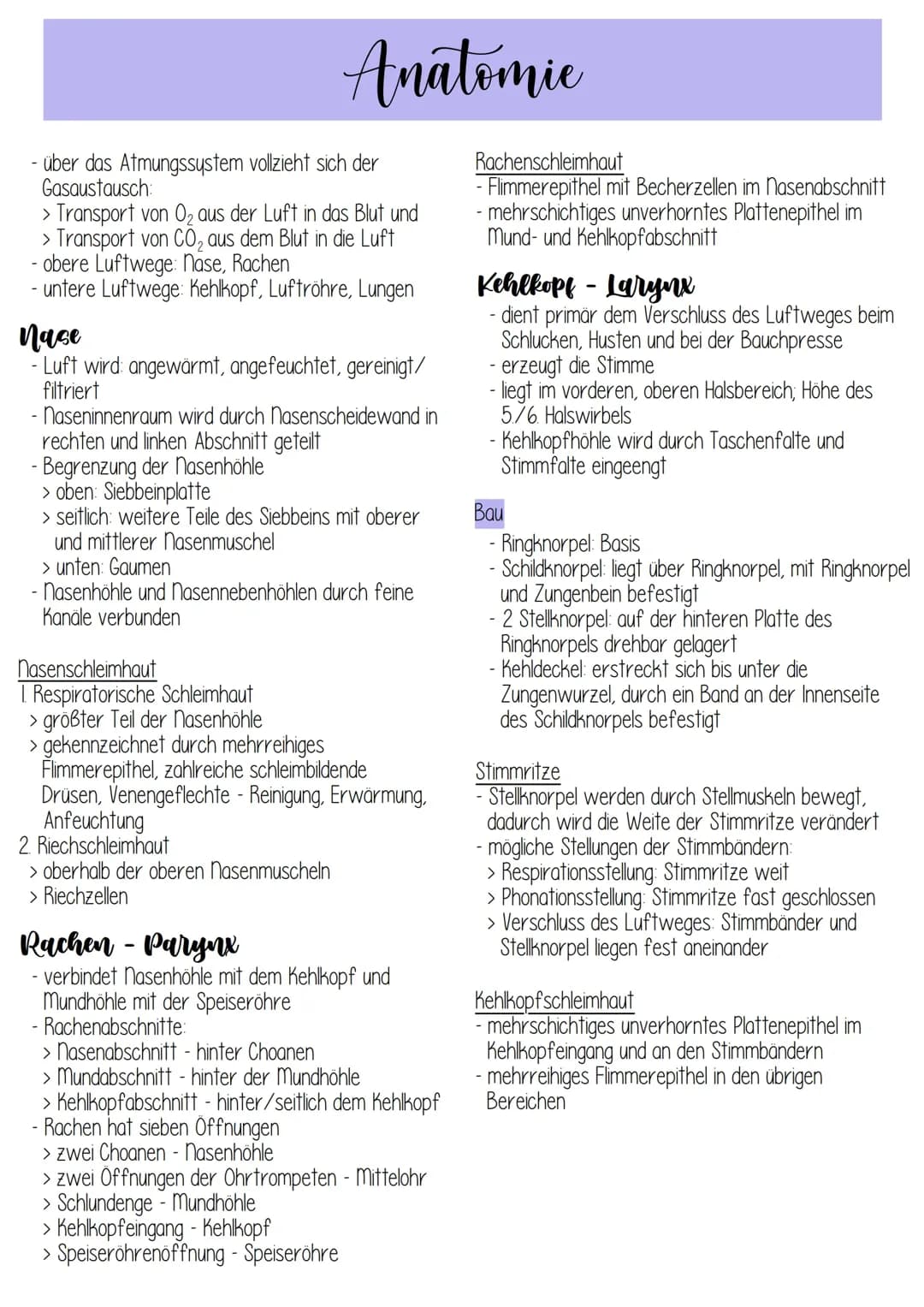 Atmungssystem