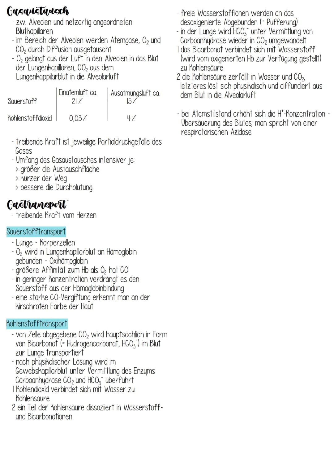 Anatomie
über das Atmungssystem vollzieht sich der
Gasaustausch:
> Transport von 0₂ aus der Luft in das Blut und
> Transport von CO₂ aus dem