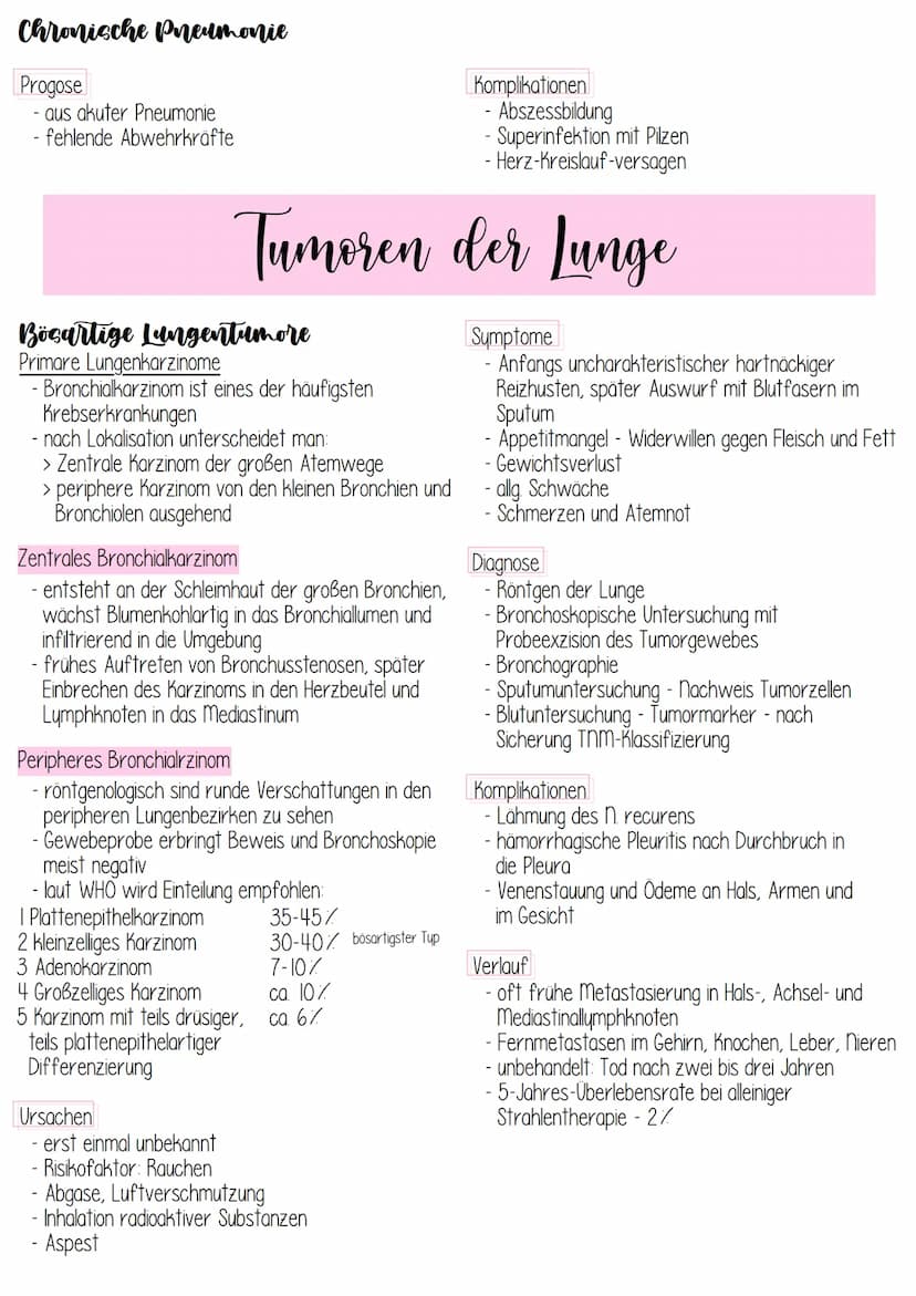 Anatomie
über das Atmungssystem vollzieht sich der
Gasaustausch:
> Transport von 0₂ aus der Luft in das Blut und
> Transport von CO₂ aus dem