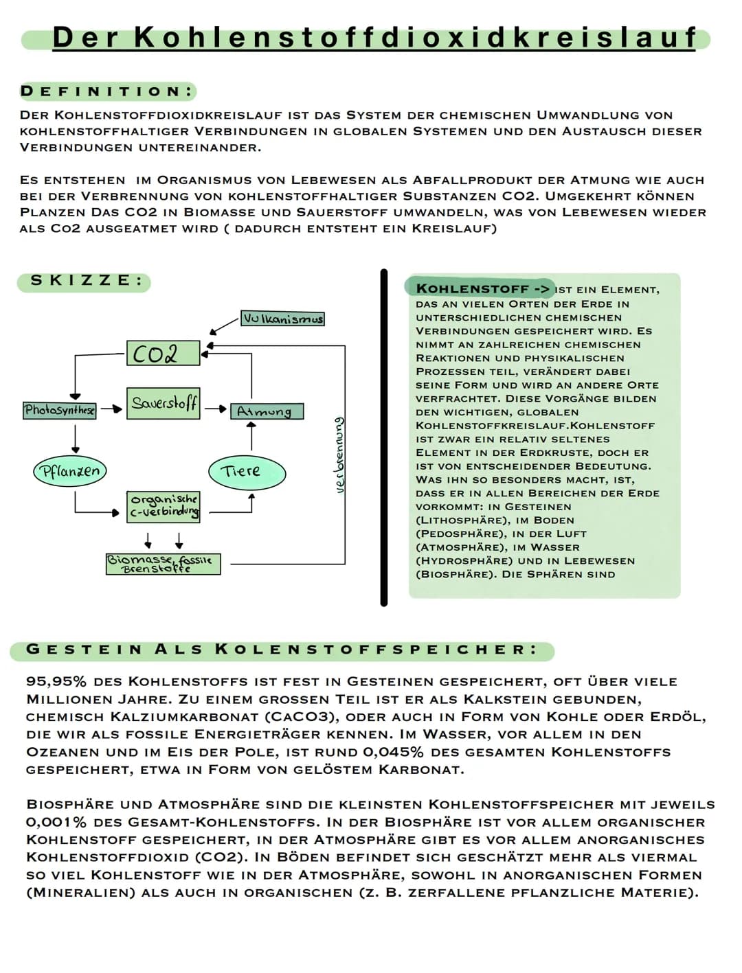 Der Kohlenstoffdioxidkreislauf
DEFINITION:
DER KOHLENSTOFFDIOXIDKREISLAUF IST DAS SYSTEM DER CHEMISCHEN UMWANDLUNG VON
KOHLENSTOFFHALTIGER V