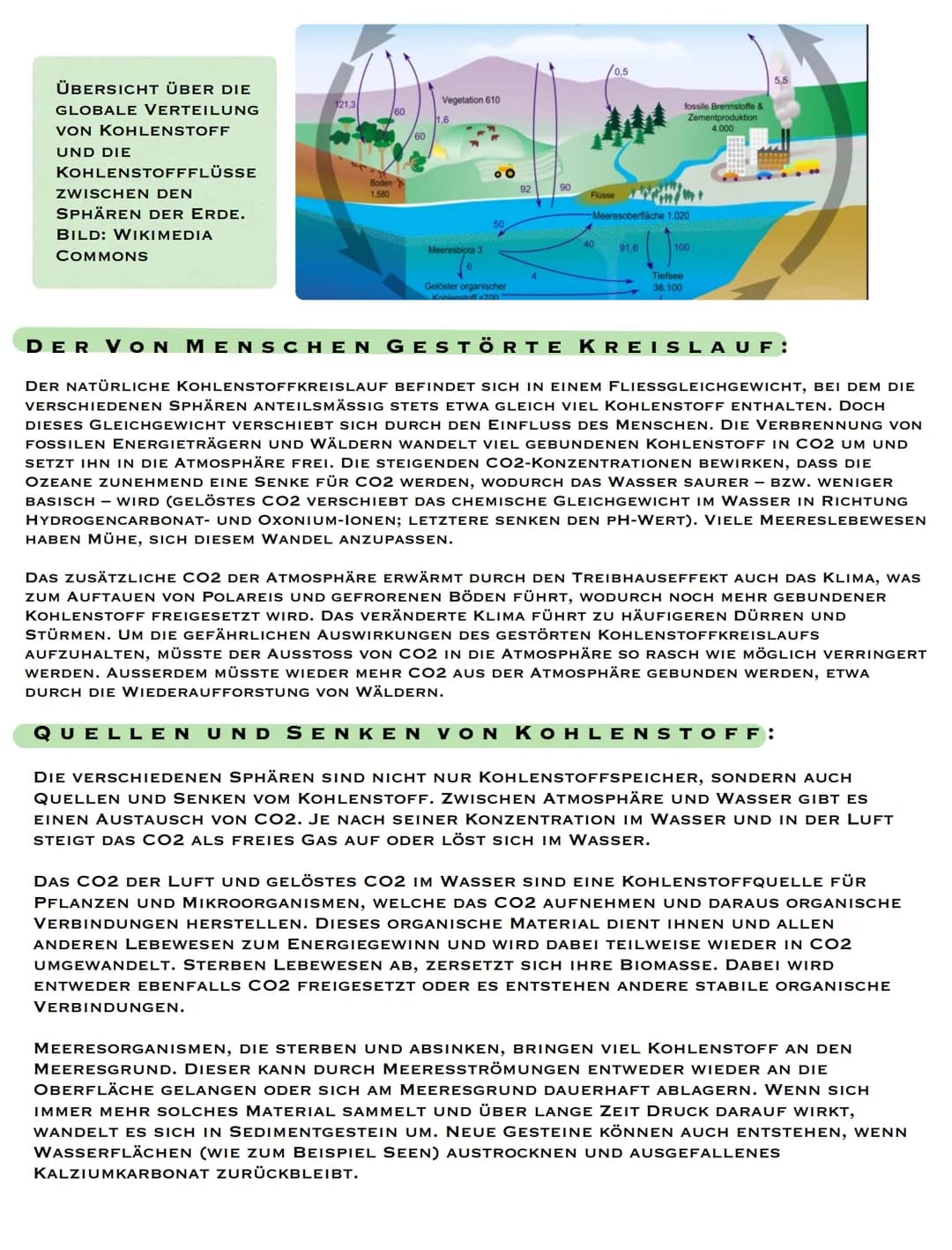 Der Kohlenstoffdioxidkreislauf
DEFINITION:
DER KOHLENSTOFFDIOXIDKREISLAUF IST DAS SYSTEM DER CHEMISCHEN UMWANDLUNG VON
KOHLENSTOFFHALTIGER V