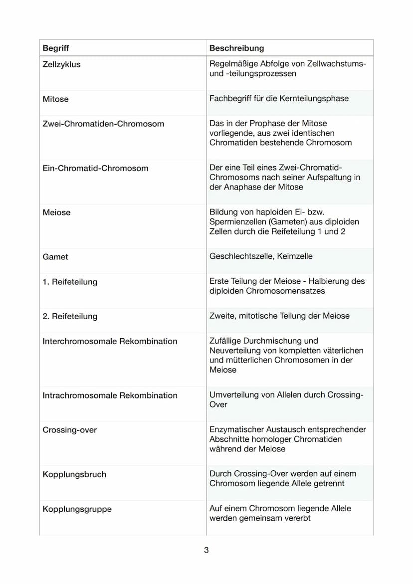 Begriff
DNA
Doppelhelix
Basensequenz
Komplementär
Sequenzierung
Restriktionsenzym
DNA-Polymerase
DNA-Replikation
Primer
Ligase
Eukaryot
Glos