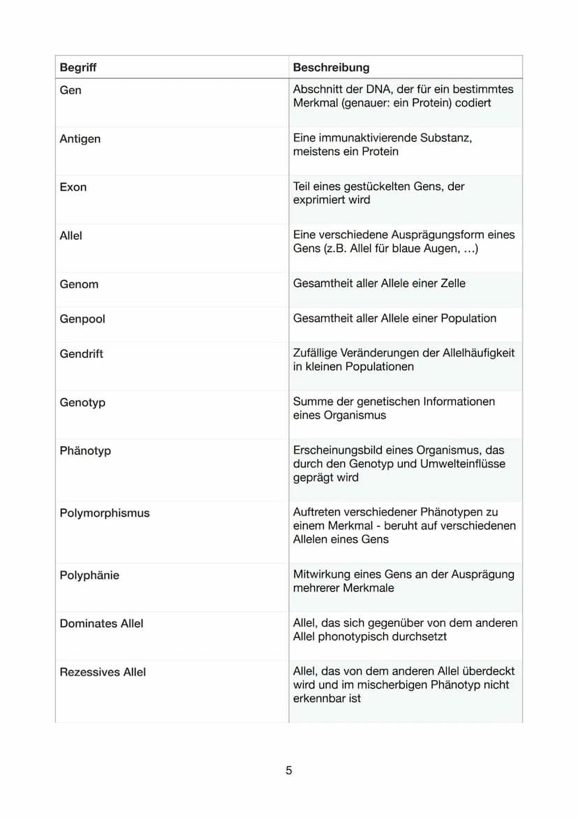 Begriff
DNA
Doppelhelix
Basensequenz
Komplementär
Sequenzierung
Restriktionsenzym
DNA-Polymerase
DNA-Replikation
Primer
Ligase
Eukaryot
Glos