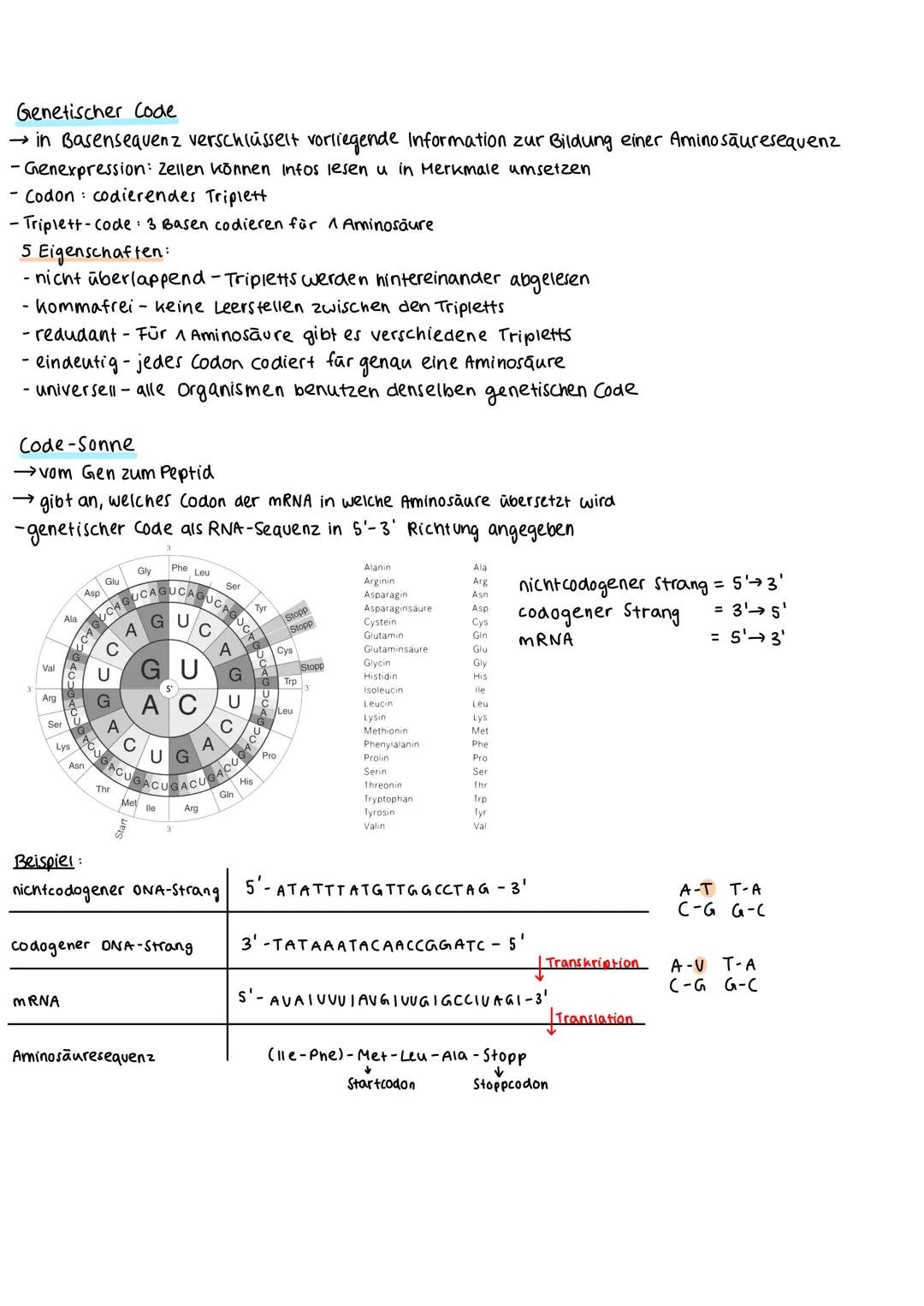 Genetischer Code

→ in Basensequenz verschlüsselt vorliegende Information zur Bildung einer Aminosäuresequenz
- Genexpression: Zellen können