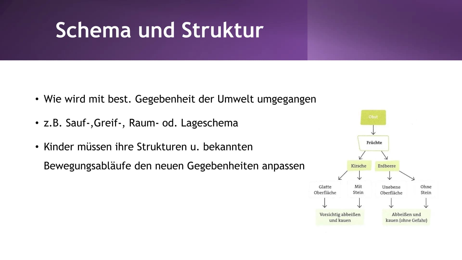 Jean
Piaget
"Gigant der
Entwicklungspsychologie" | Inhaltsverzeichnis
1. Allgeneine Fakten
2. Kognitivismus
3. Biographie
4. Entstehung
5. A