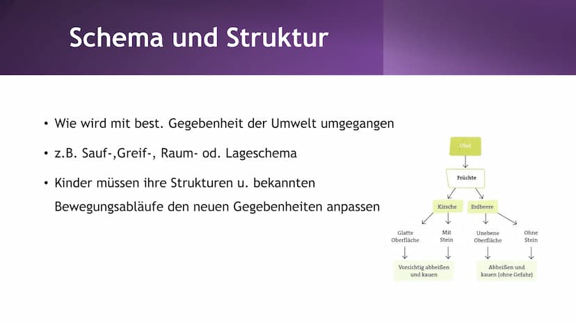 Jean
Piaget
"Gigant der
Entwicklungspsychologie" | Inhaltsverzeichnis
1. Allgeneine Fakten
2. Kognitivismus
3. Biographie
4. Entstehung
5. A