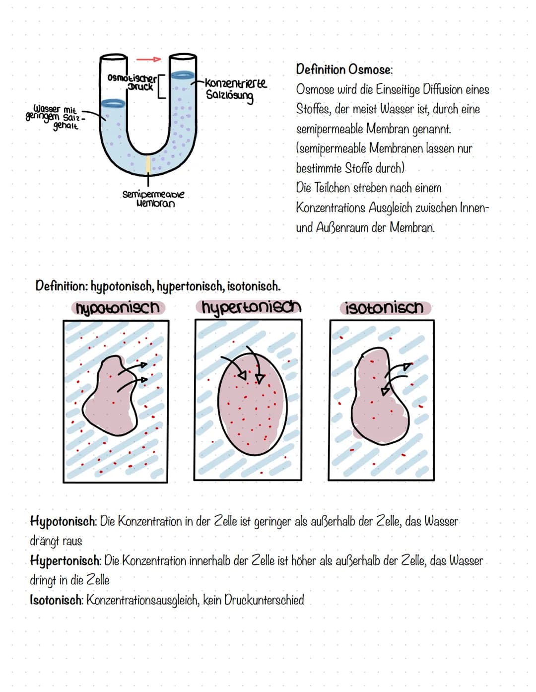 Wasser mit
geringem Saiz-
gehalt
Osmotischer
Druck
U
Semipermeable
Membran
konzentrierte.
Salzlösung
Definition Osmose:
Osmose wird die Eins