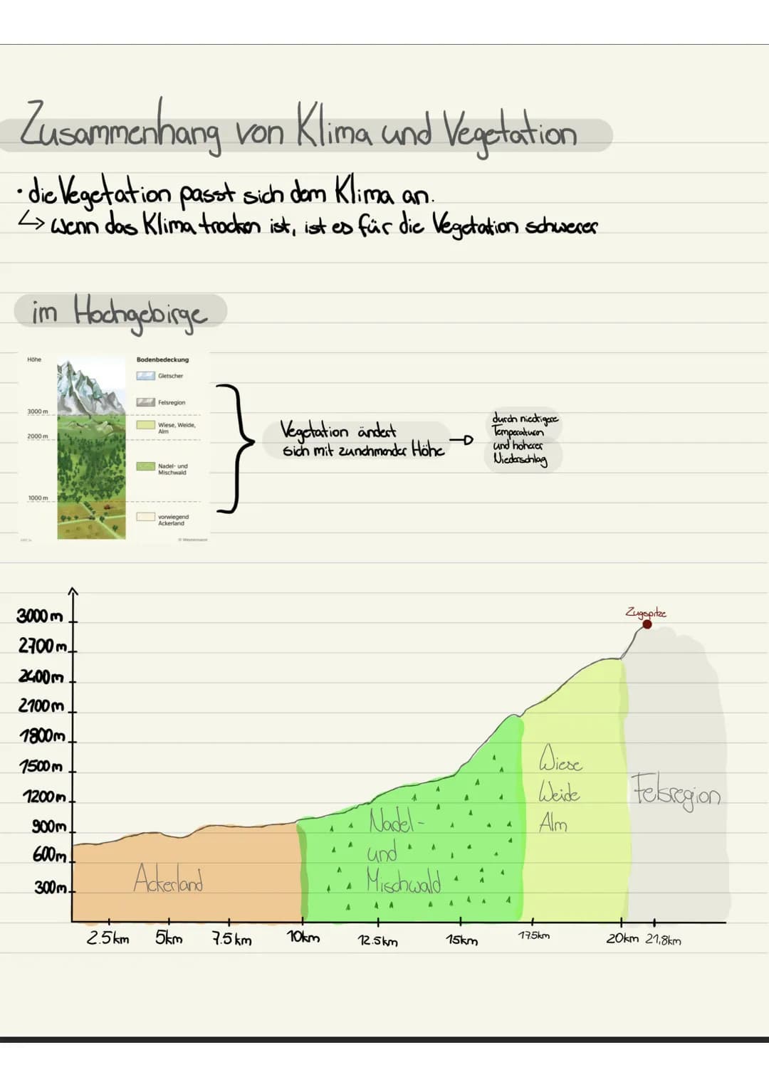 Januar
Ⓒ-Temp.
Juli
Ø-Temp.
stand 2020
stand 2020
-6,5°C
3,4°℃
1928,6mm
Jahres-
niederschlag
Böden
Vegetation verschiedenc Zonen
von Adees b