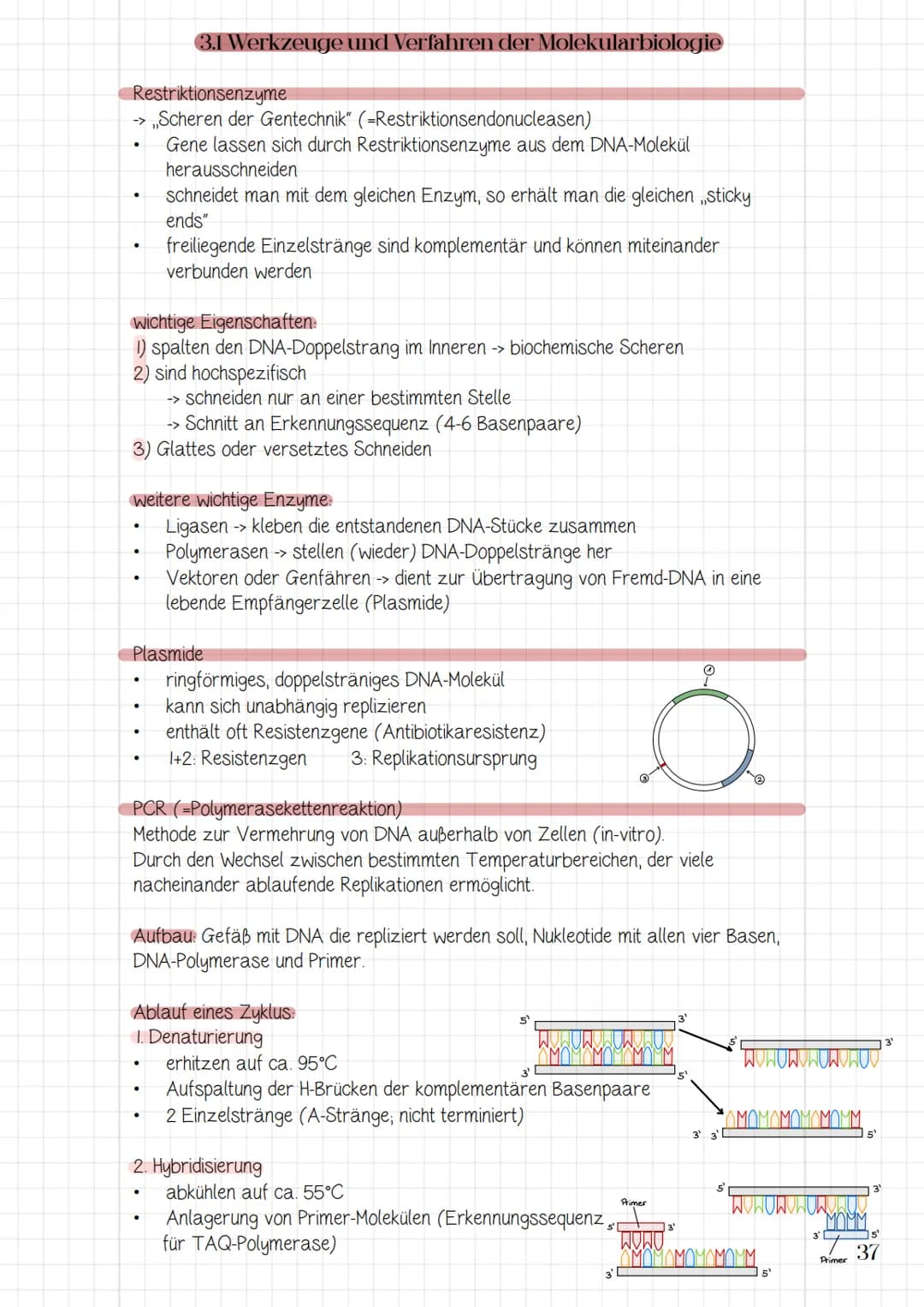 Molekularbiologische
Verfahren und
Gentechnik
3.1 Werkzeuge und Verfahren der Molekularbiologie
3.2 Prinzip und Verfahren des genetischen Fi