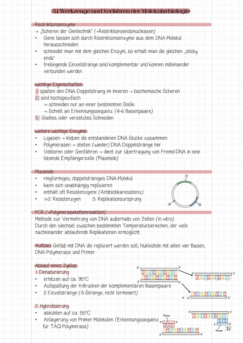 Molekularbiologische
Verfahren und
Gentechnik
3.1 Werkzeuge und Verfahren der Molekularbiologie
3.2 Prinzip und Verfahren des genetischen Fi