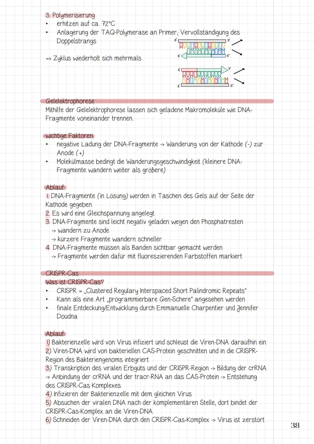 Molekularbiologische
Verfahren und
Gentechnik
3.1 Werkzeuge und Verfahren der Molekularbiologie
3.2 Prinzip und Verfahren des genetischen Fi