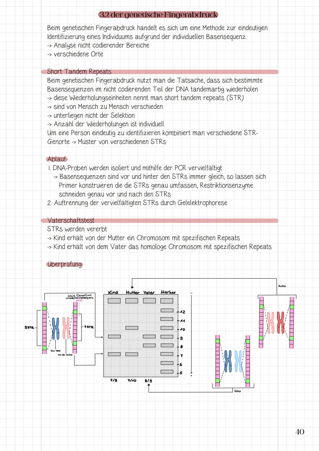 Molekularbiologische
Verfahren und
Gentechnik
3.1 Werkzeuge und Verfahren der Molekularbiologie
3.2 Prinzip und Verfahren des genetischen Fi