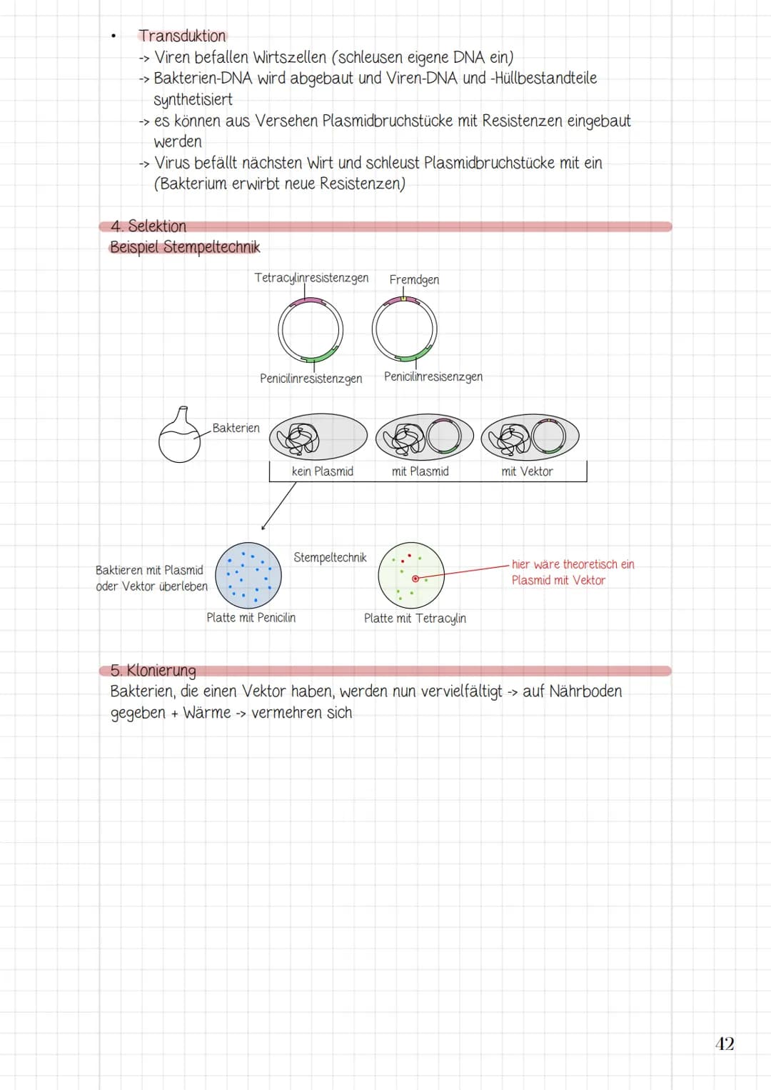 Molekularbiologische
Verfahren und
Gentechnik
3.1 Werkzeuge und Verfahren der Molekularbiologie
3.2 Prinzip und Verfahren des genetischen Fi