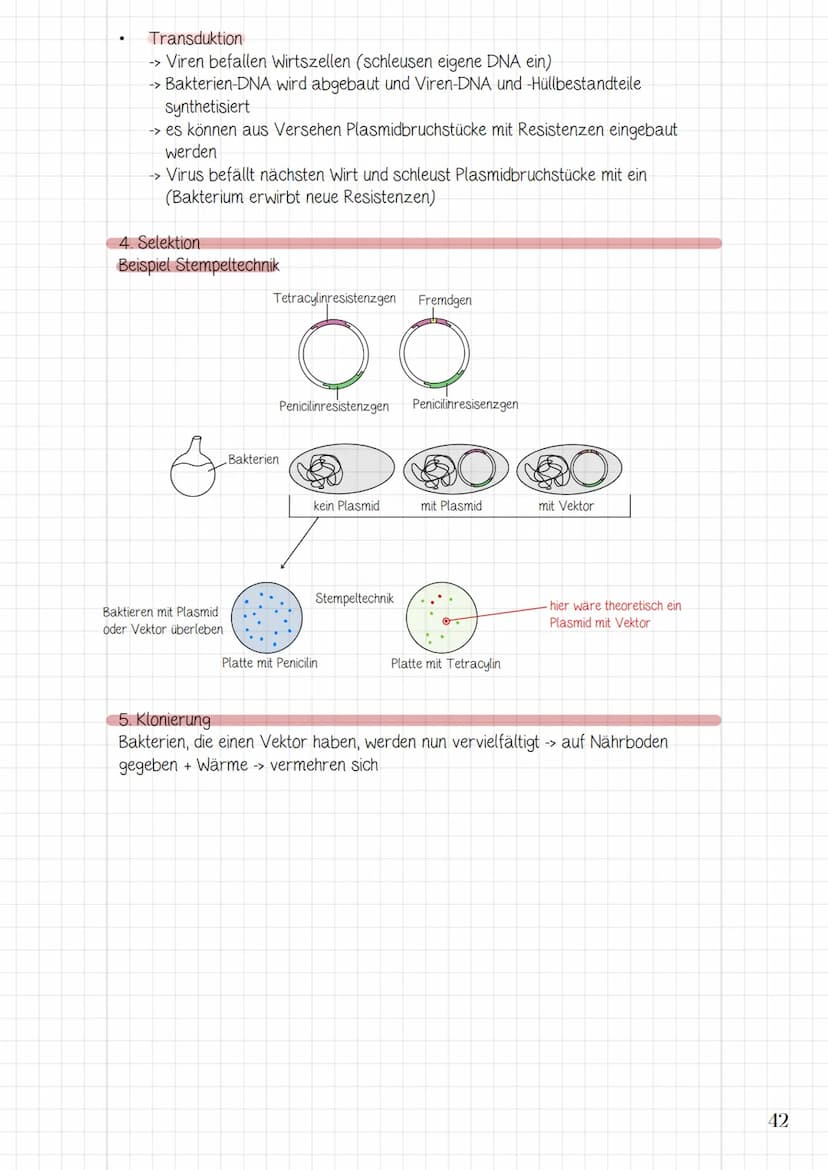 Molekularbiologische
Verfahren und
Gentechnik
3.1 Werkzeuge und Verfahren der Molekularbiologie
3.2 Prinzip und Verfahren des genetischen Fi