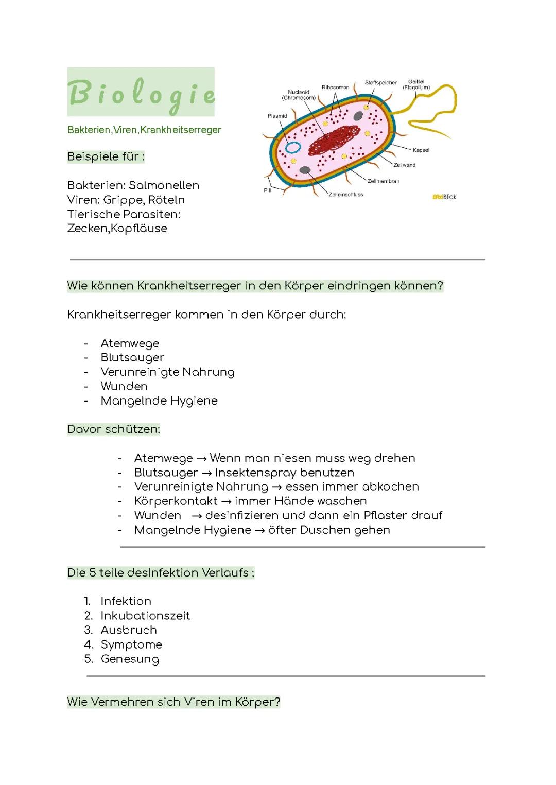 Viren und Bakterien 