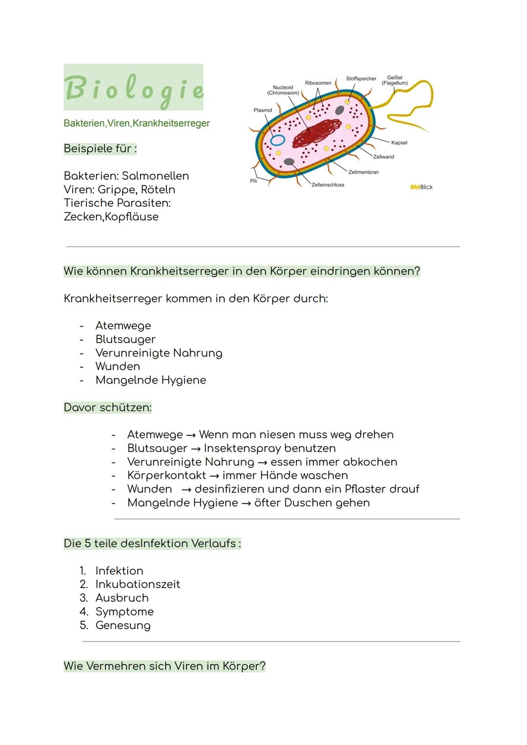 Biologie
Bakterien, Viren, Krankheitserreger
Beispiele für:
Bakterien: Salmonellen
Viren: Grippe, Röteln
Tierische Parasiten:
Zecken, Kopflä