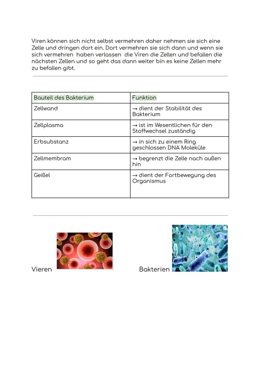 Biologie
Bakterien, Viren, Krankheitserreger
Beispiele für:
Bakterien: Salmonellen
Viren: Grippe, Röteln
Tierische Parasiten:
Zecken, Kopflä