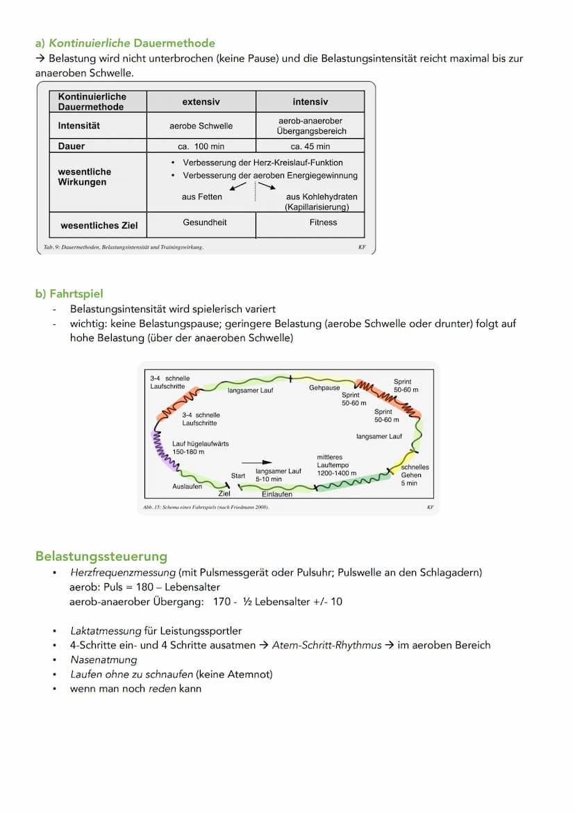 Ausdauerarten
Allgemeine aerobe Ausdauer für Fitness und Gesundheit
- Training unter anaeroben Schwelle (4 mmol Laktat)
Grundlagenausdauer i