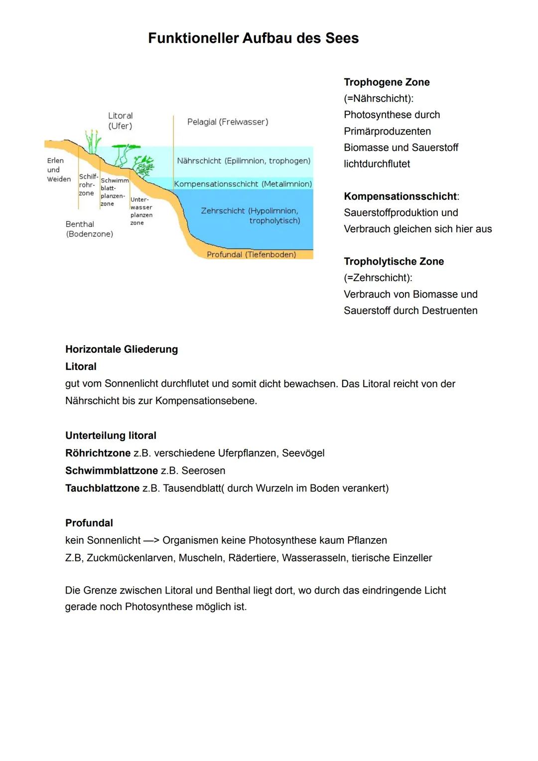 Biotop
abgegrenzter Lebensraum
Licht
Feuchtigkeit
Temperatur
Wind
Grundbegriffe der Ökologie
Gesamtheit aller Ökosysteme der Erde
Ökosystem
