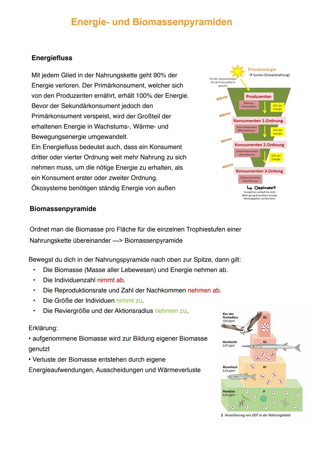 Biotop
abgegrenzter Lebensraum
Licht
Feuchtigkeit
Temperatur
Wind
Grundbegriffe der Ökologie
Gesamtheit aller Ökosysteme der Erde
Ökosystem
