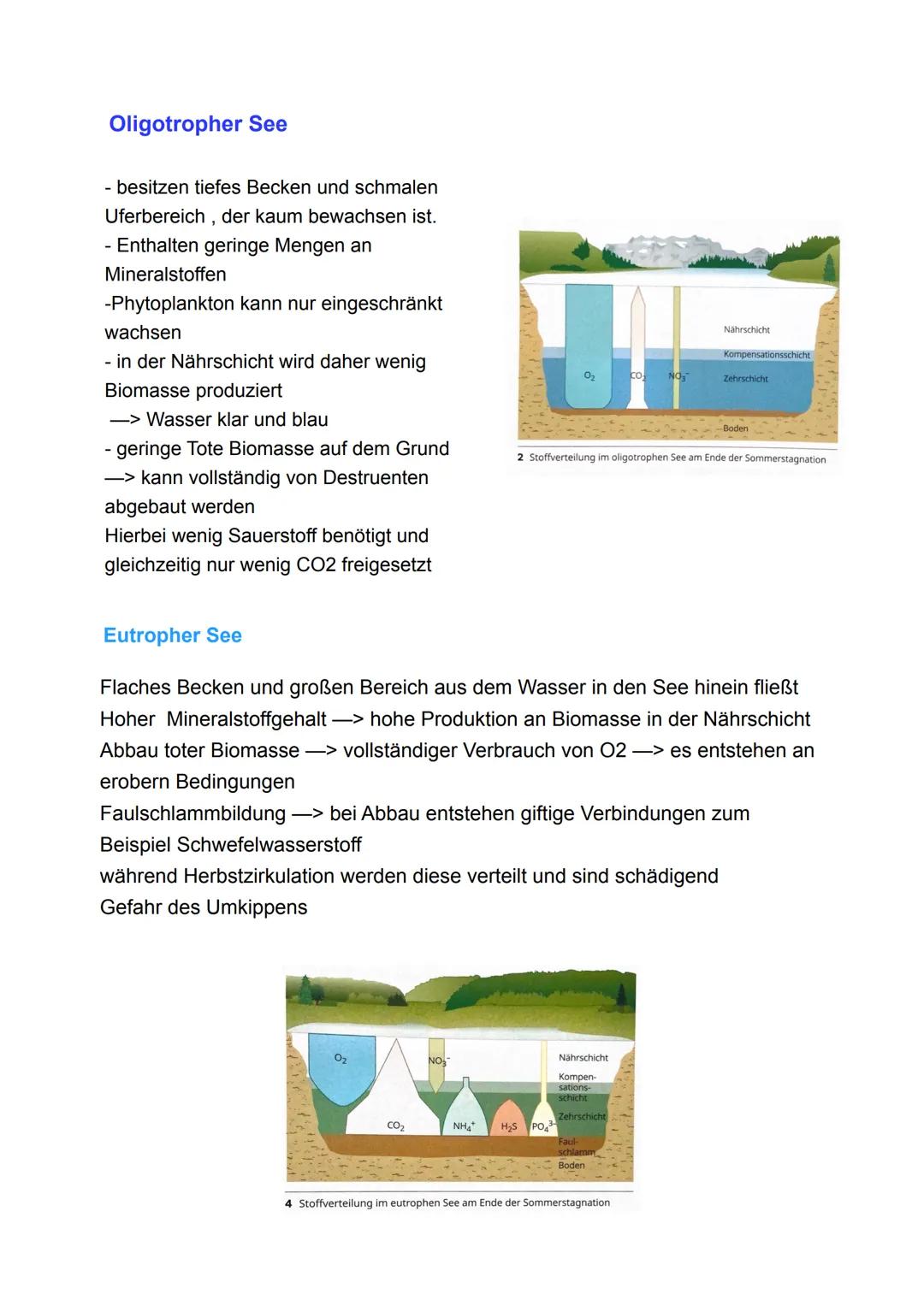 Biotop
abgegrenzter Lebensraum
Licht
Feuchtigkeit
Temperatur
Wind
Grundbegriffe der Ökologie
Gesamtheit aller Ökosysteme der Erde
Ökosystem
