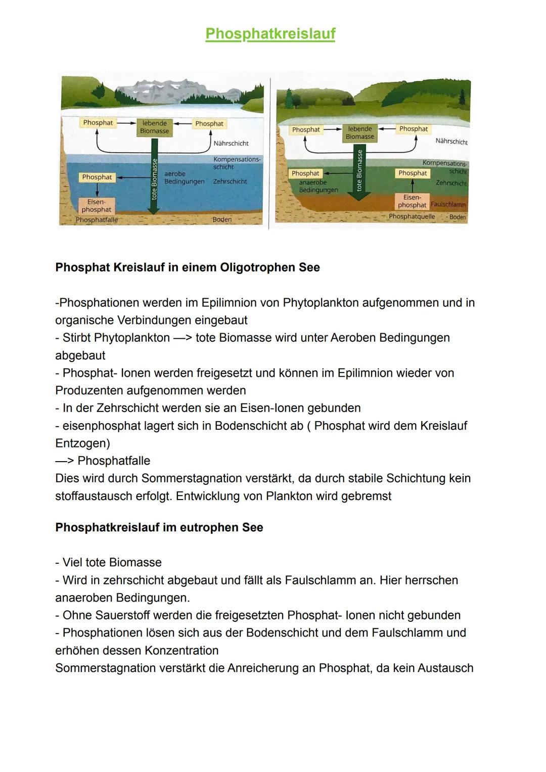 Biotop
abgegrenzter Lebensraum
Licht
Feuchtigkeit
Temperatur
Wind
Grundbegriffe der Ökologie
Gesamtheit aller Ökosysteme der Erde
Ökosystem
