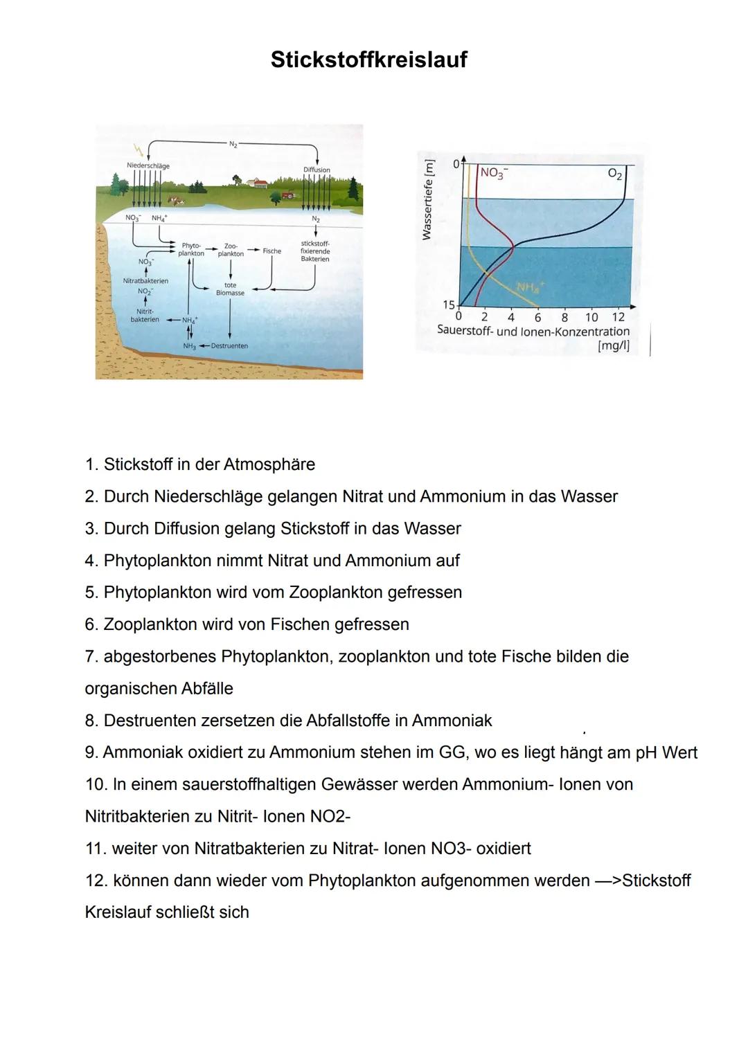 Biotop
abgegrenzter Lebensraum
Licht
Feuchtigkeit
Temperatur
Wind
Grundbegriffe der Ökologie
Gesamtheit aller Ökosysteme der Erde
Ökosystem
