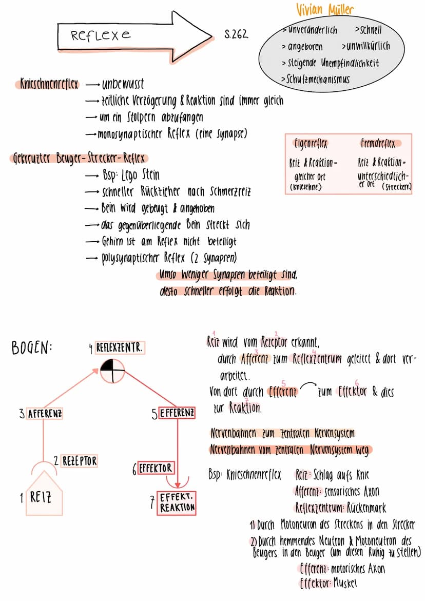 1.
Gleichgewichtspotential
2.
Vivian Müller
Semipermiabel für H₂0 & K²
Konzentration K+
-70mV
Spannung
1) Keine Spannung, da kein Ladungsunt