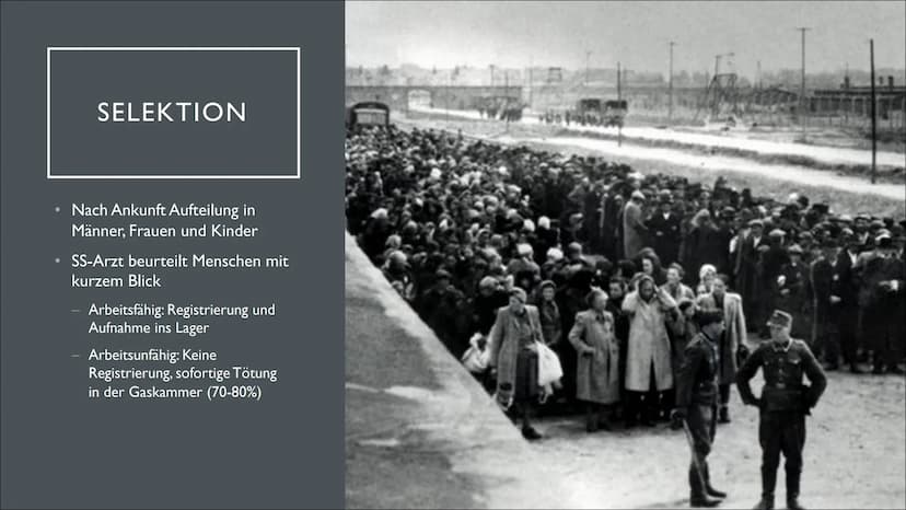 KZ - AUSCHWITZ ●
●
●
●
●
INHALTSVERZEICHNIS
Allgemeine Informationen
Entstehung
Unterschiede
Ankunft
Selektion
Aufnahme ins Lager
Unterkünft