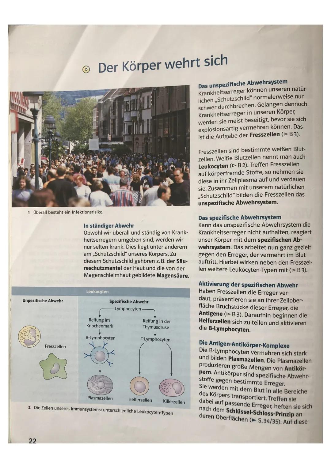 # Der Körper wehrt sich

1 Überall besteht ein Infektionsrisiko.

Unpezifische Abwehr

Fresszellen

In ständiger Abwehr
Obwohl wir überall u