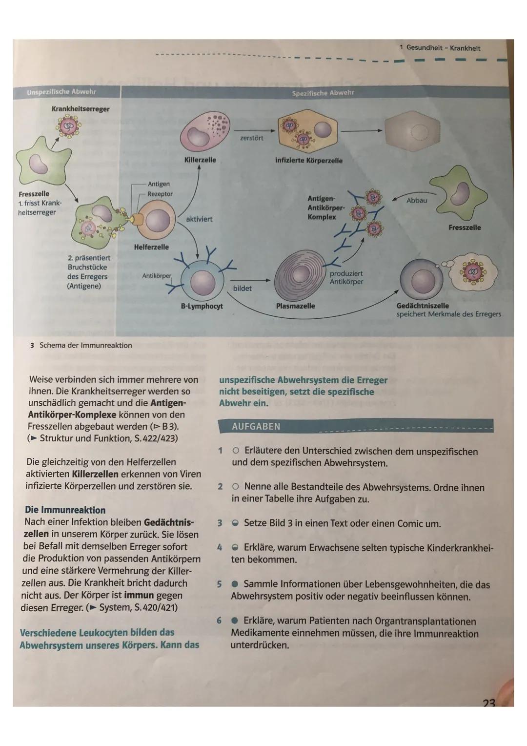 # Der Körper wehrt sich

1 Überall besteht ein Infektionsrisiko.

Unpezifische Abwehr

Fresszellen

In ständiger Abwehr
Obwohl wir überall u