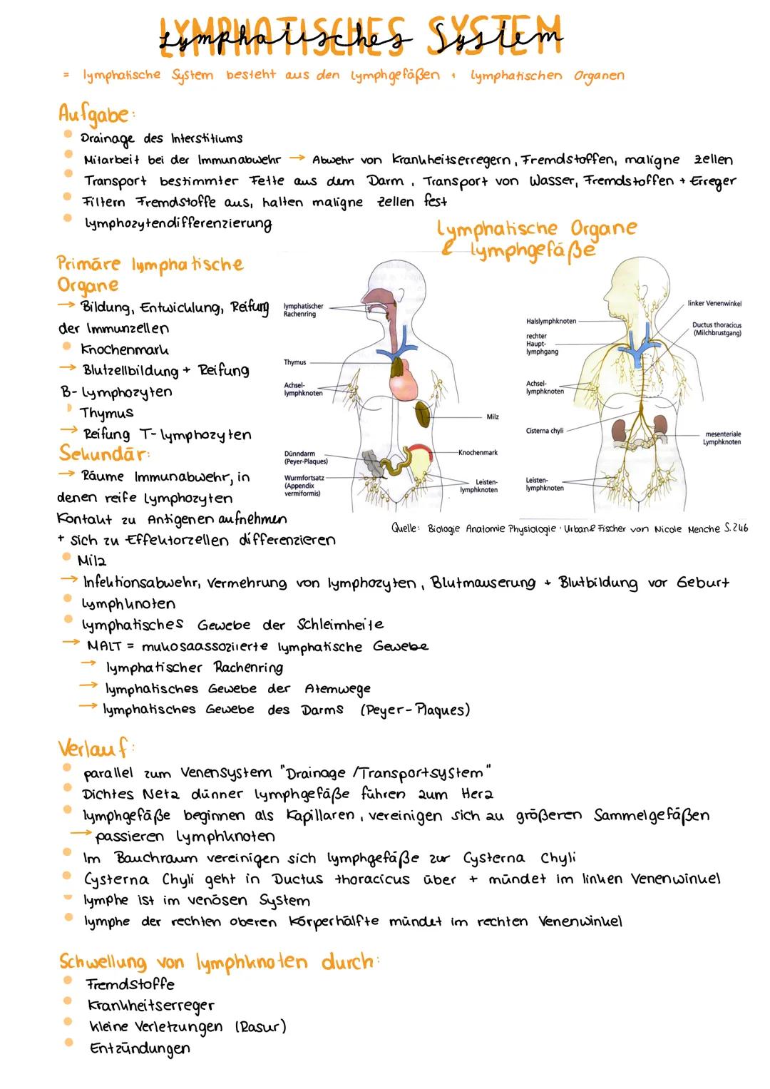  3.
S. 5.
+ Aufbau
Herzaufgabe
Herzwand + Herzkranzgefäße
Steuerung der Herz tätigheit
Vorhofzyklus + Kammerzyklus
Herz tone + -geräusche, P