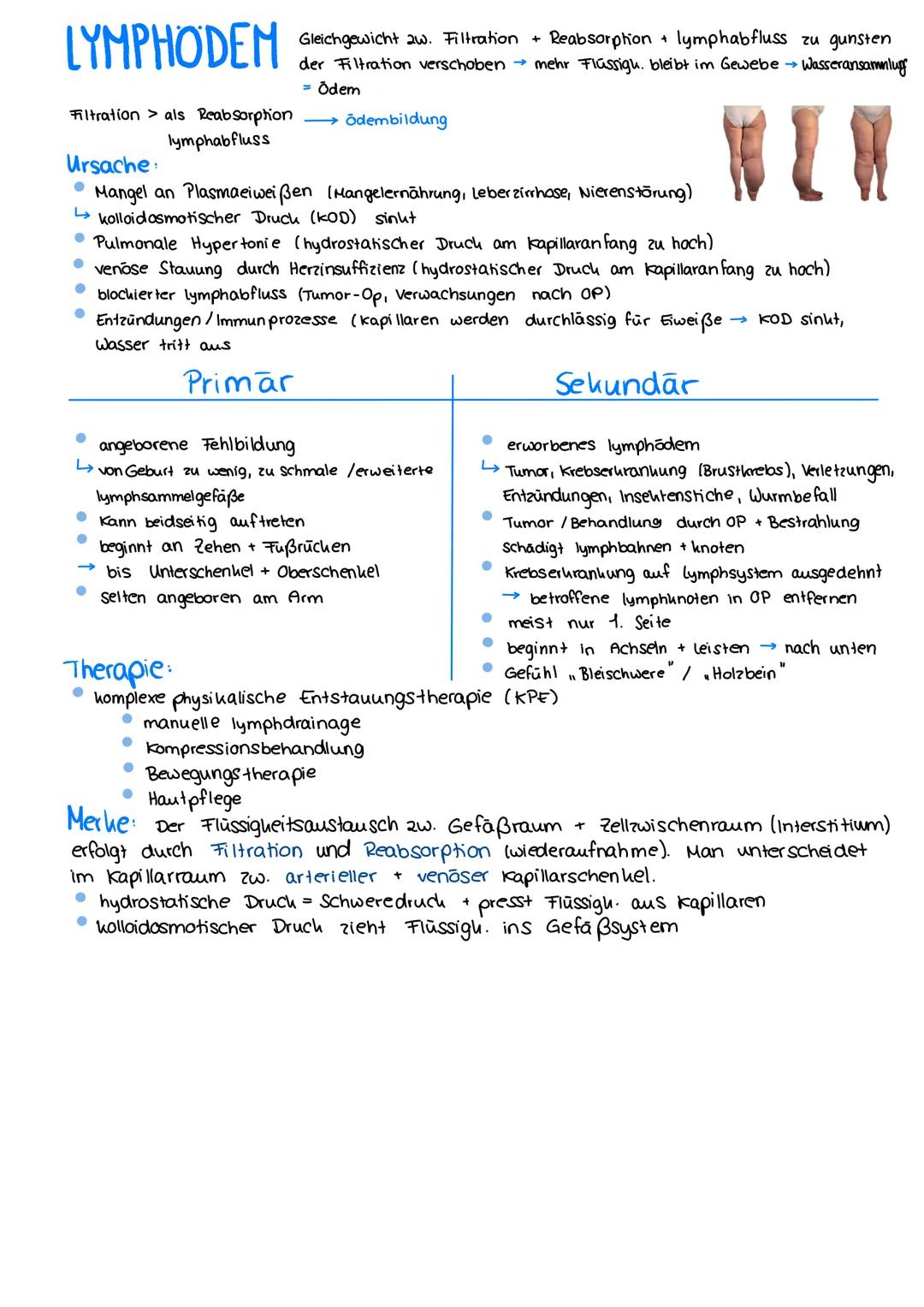  3.
S. 5.
+ Aufbau
Herzaufgabe
Herzwand + Herzkranzgefäße
Steuerung der Herz tätigheit
Vorhofzyklus + Kammerzyklus
Herz tone + -geräusche, P