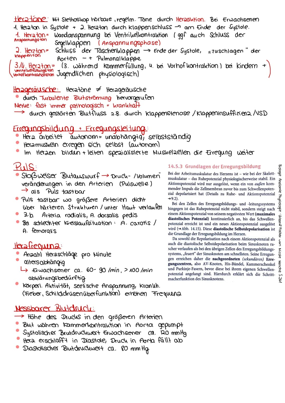  3.
S. 5.
+ Aufbau
Herzaufgabe
Herzwand + Herzkranzgefäße
Steuerung der Herz tätigheit
Vorhofzyklus + Kammerzyklus
Herz tone + -geräusche, P