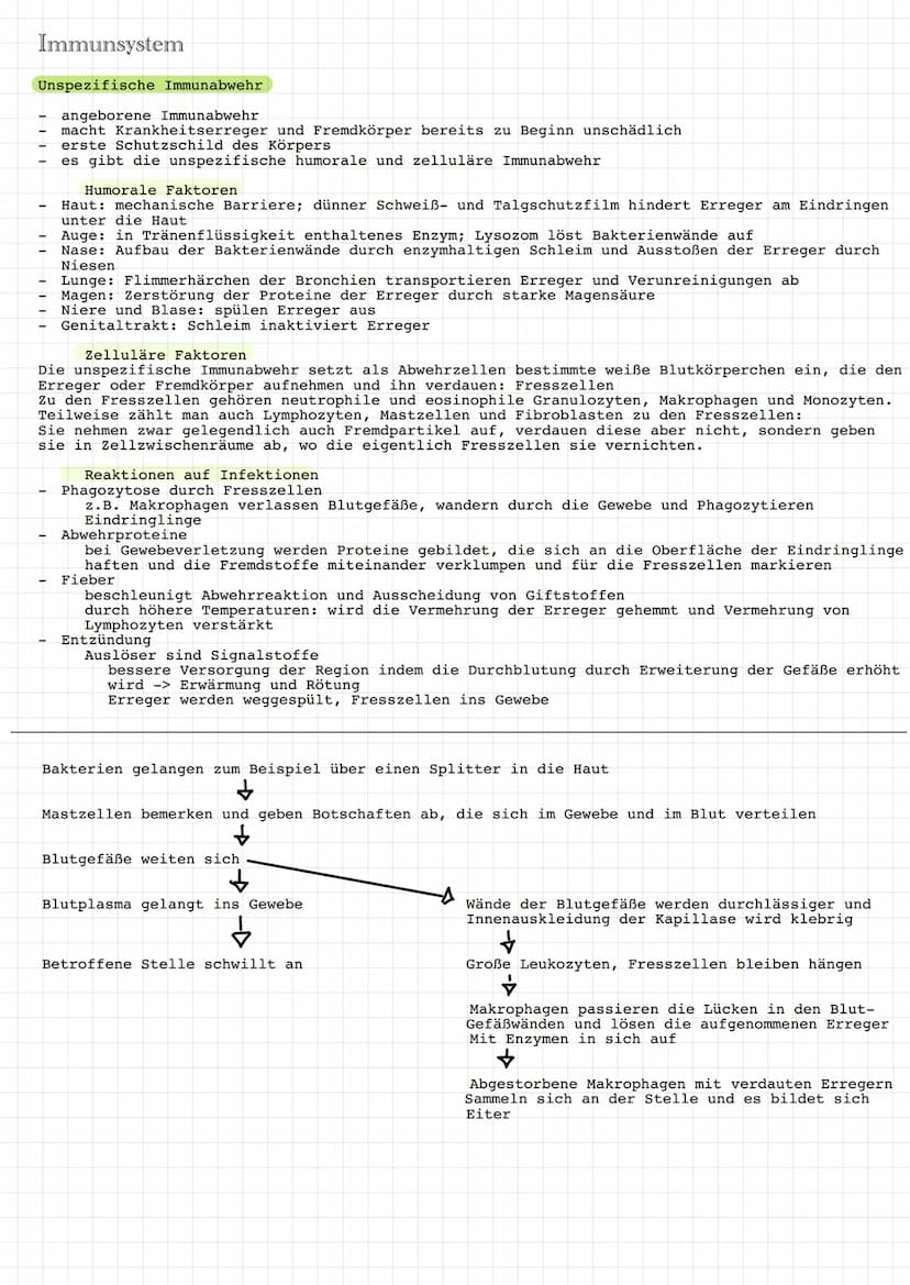 Immunbiologie Immunsystem
- Zum Immunsystem gehören alle Moleküle, Zellen und Organe, die in der
Auseinandersetzung mit Krankheitserregern, 